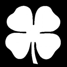 Four Leaf Clover